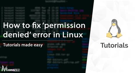 permission denied chmod 777|Fixing the ‘Permission Denied’ Error on Linux.